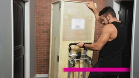 Trans Harder: Fucking and Sucking in Reverse