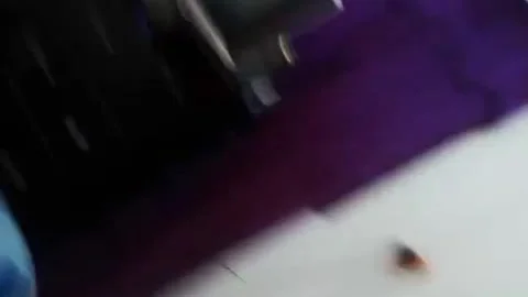 Arabian shemale Playing On cam