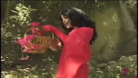 Red tranny Hood