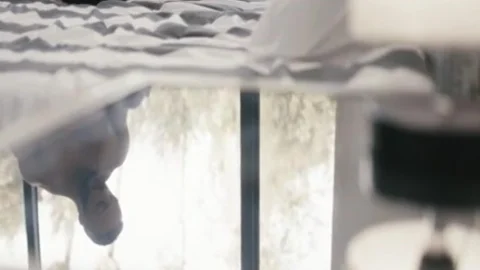 excited shemale throats And arse Rammed By Her black Boyfriend