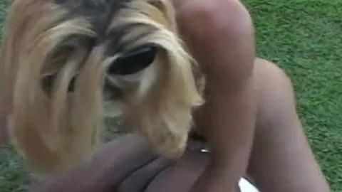 Two homo males And tranny Lisa Lawer outdoors hammering Each Others ass Holes